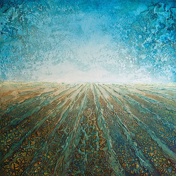 The field remembers the rain